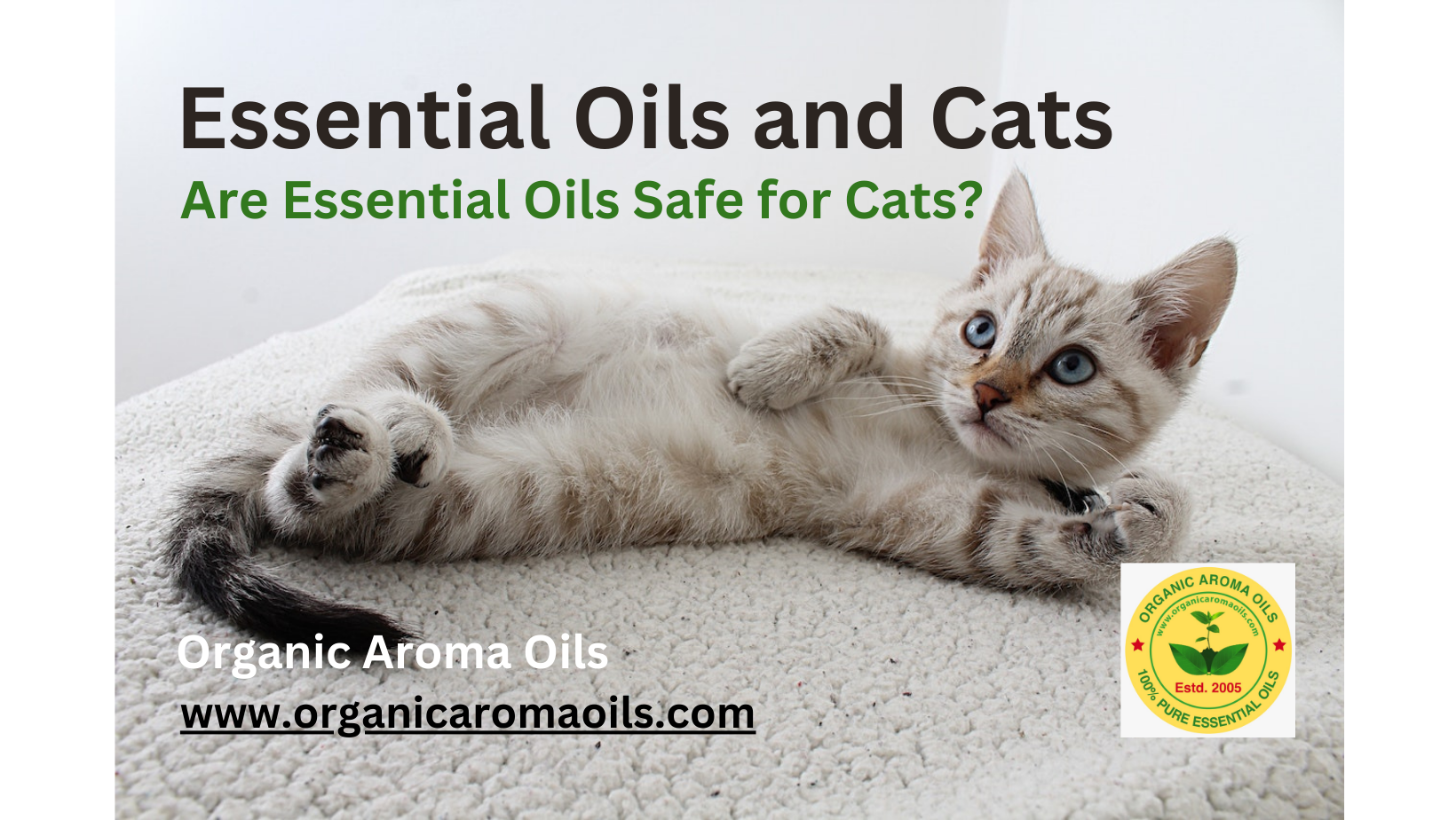 Oil safe for sales cats
