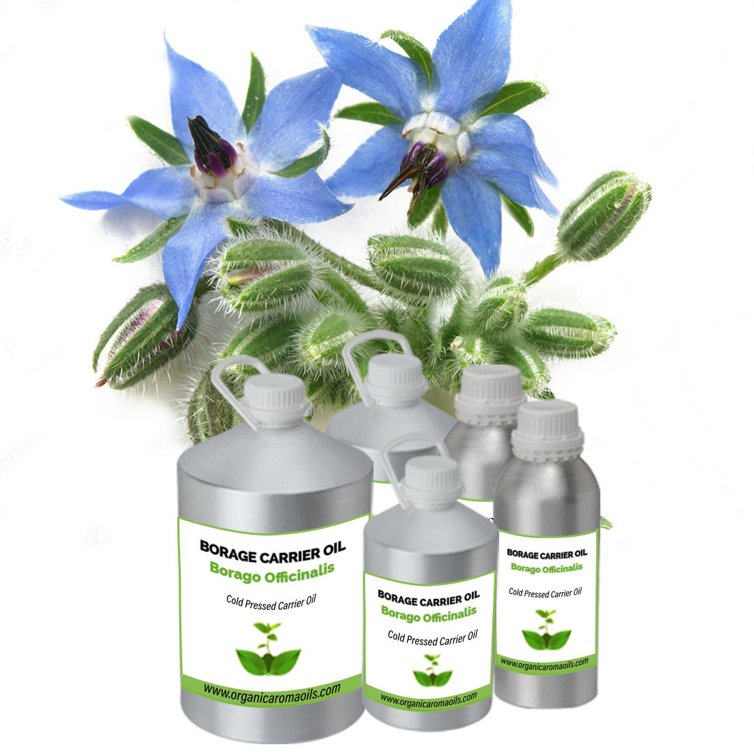 Borage Carrier Oil