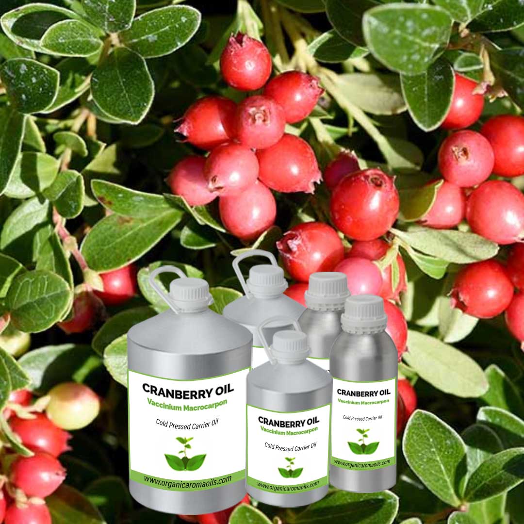 Cranberry Oil