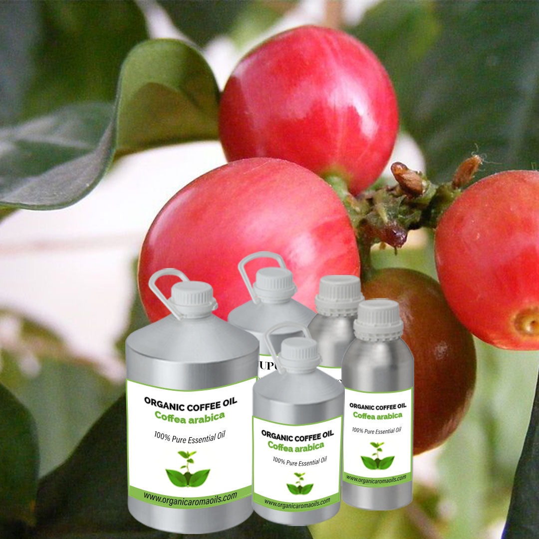 Organic Coffee Oil