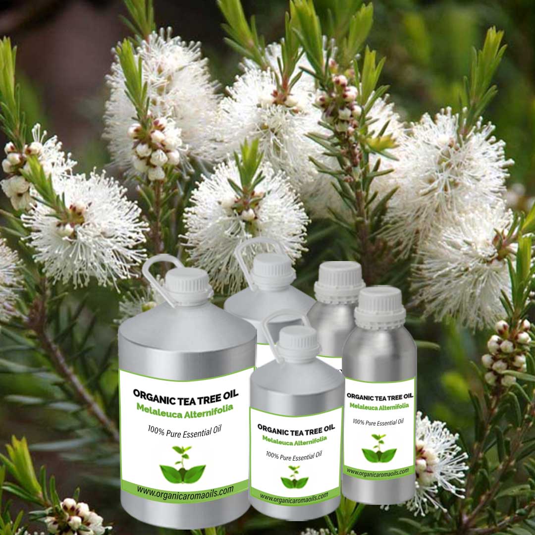 Organic Tea Tree Oil