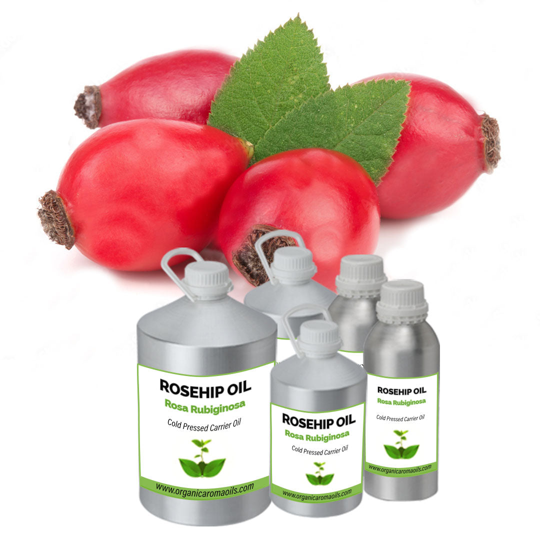 rosa rubiginosa seed oil Buy Rosehip Oil Online, Supplier, Bulk Wholesale – Organic Aroma Oils