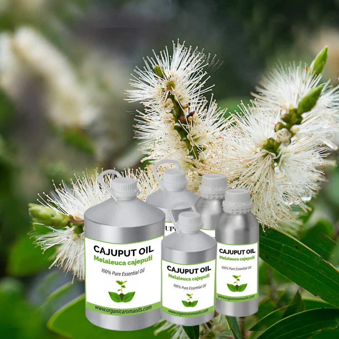 Cajeput oil online