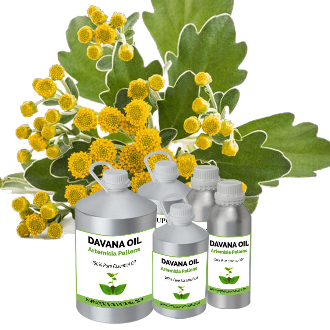 davana plant seeds Davana Oil