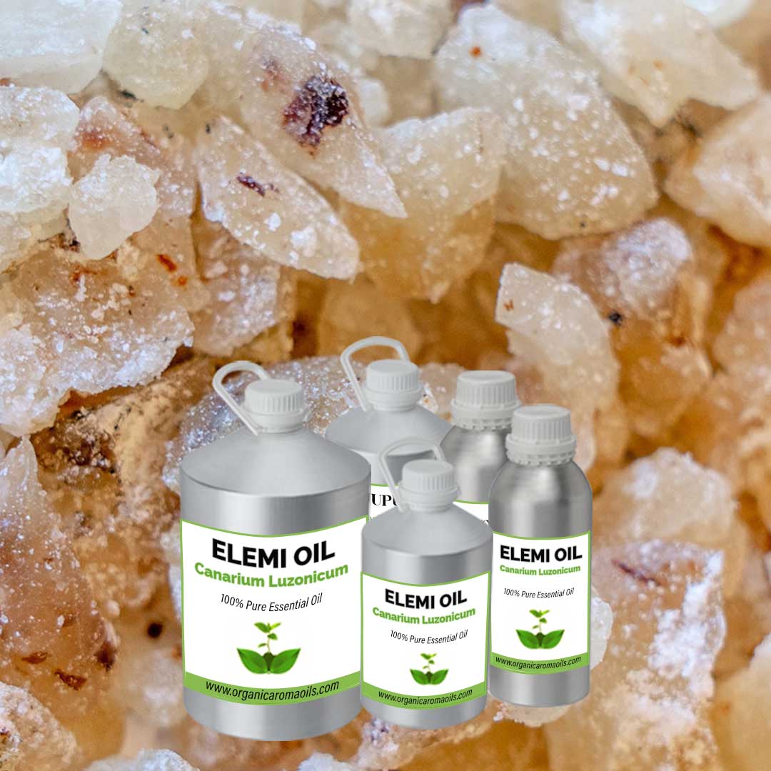 Elemi Oil