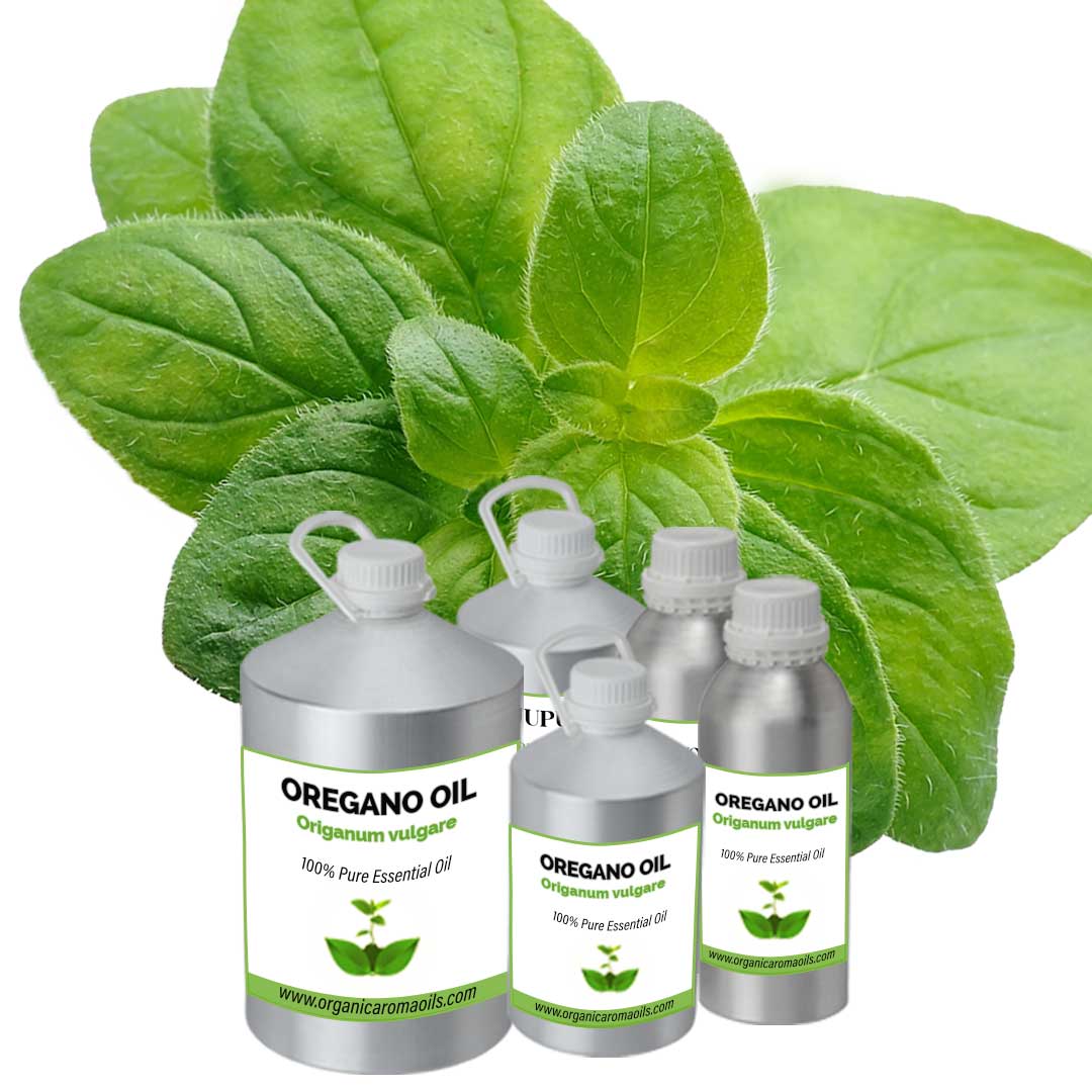 Distributor of Pure Aromatherapy Oregano Oil Oil of oregano near me