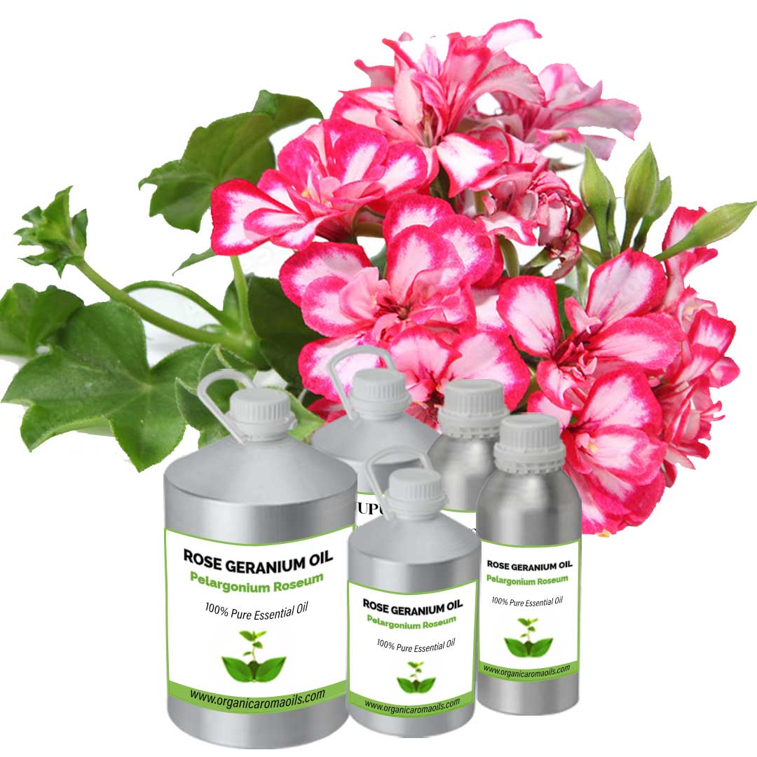 Rose Geranium Oil