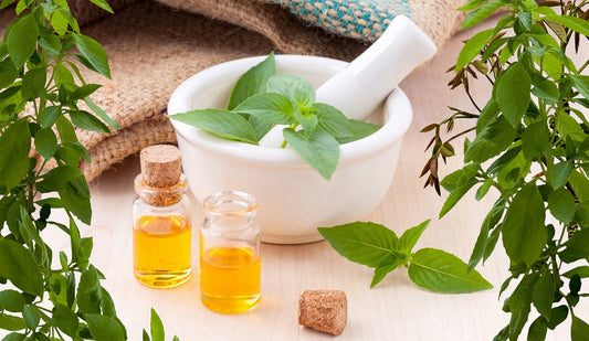 The Whisper of Nature: Rediscovering Life Through Essential Oils