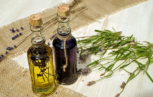 7 Best Essential Oils Which Mosquitoes Really Hate