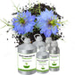 Black Cumin Seed Oil