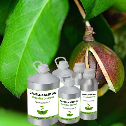 Camellia Seed Oil