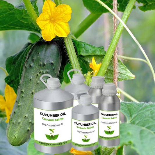 Cucumber Oil