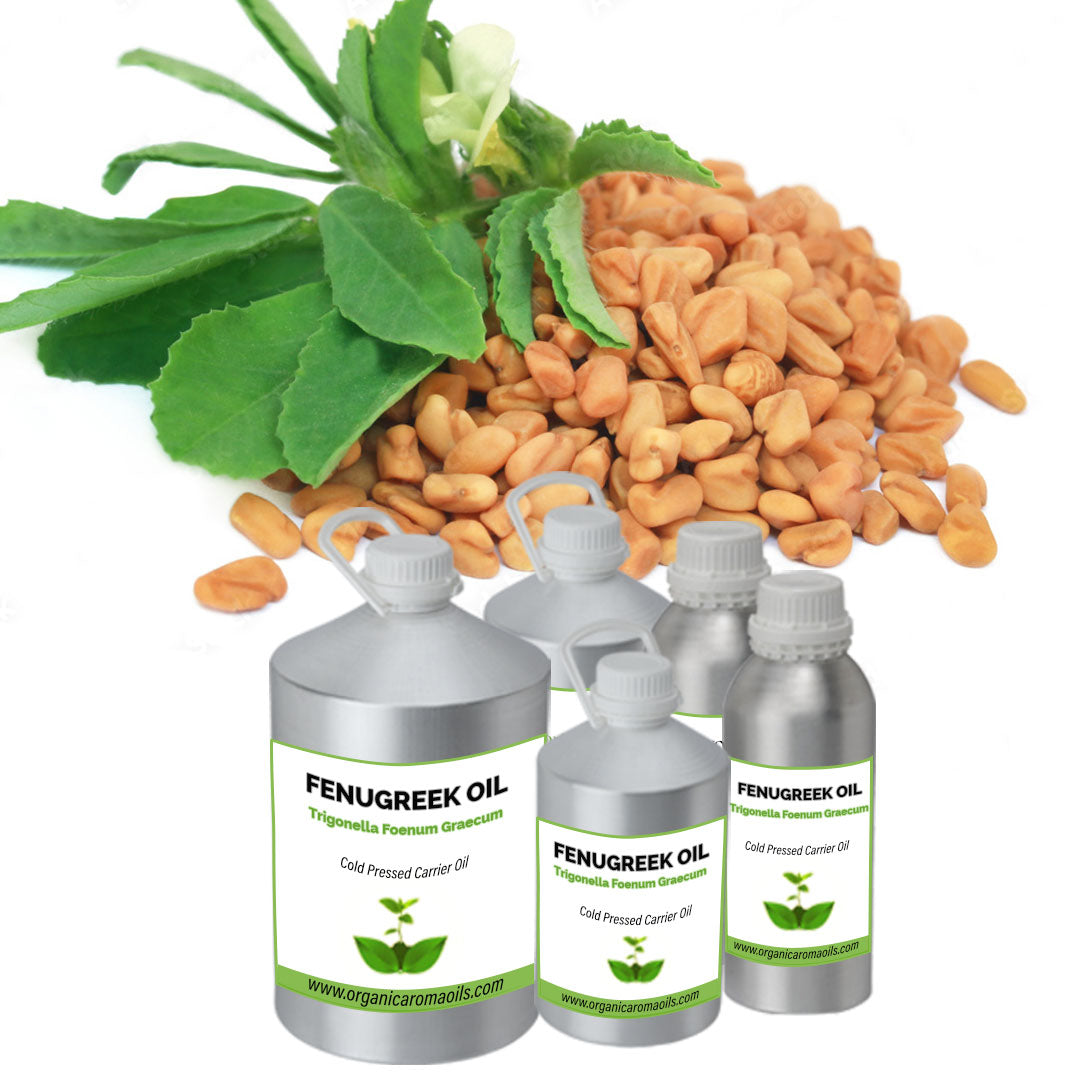 Fenugreek Oil