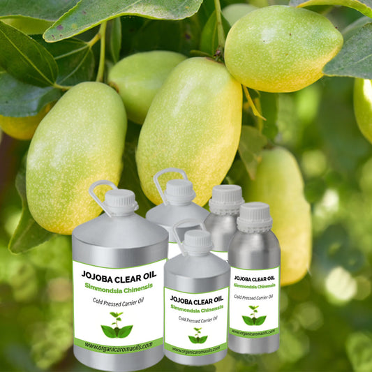 Jojoba Clear Oil