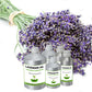 Lavender Oil