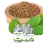 Organic Ajowan Oil