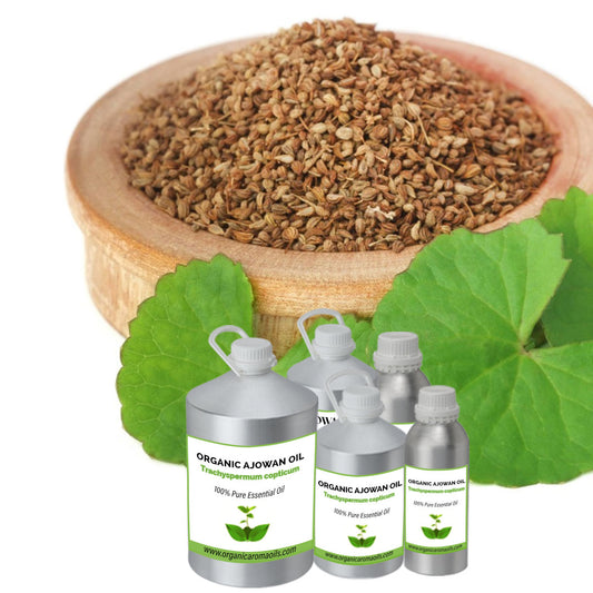 Organic Ajowan Oil