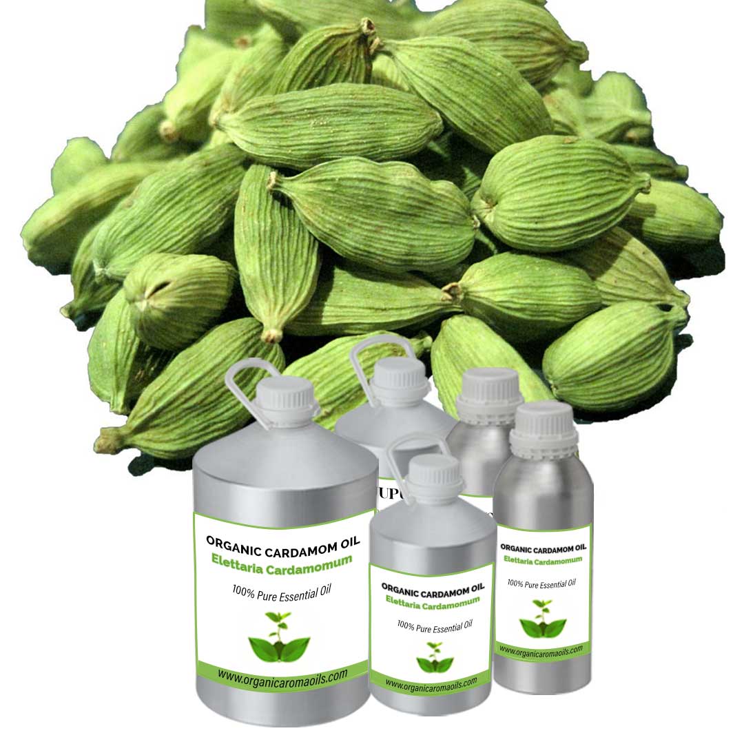 Organic Cardamom Oil