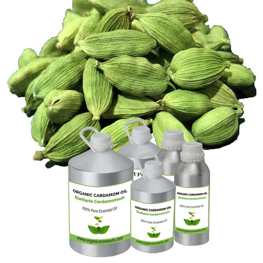 Organic Cardamom Oil