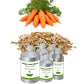 Organic Carrot Seed Oil