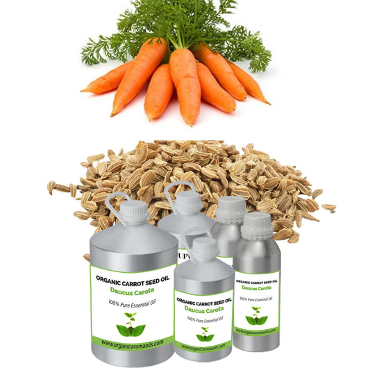 Organic Carrot Seed Oil