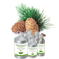Organic Cedarwood Atlas Oil