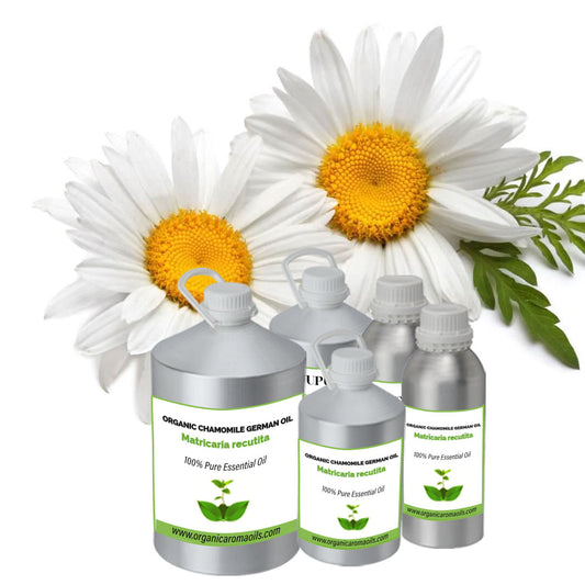 Organic Chamomile German Oil