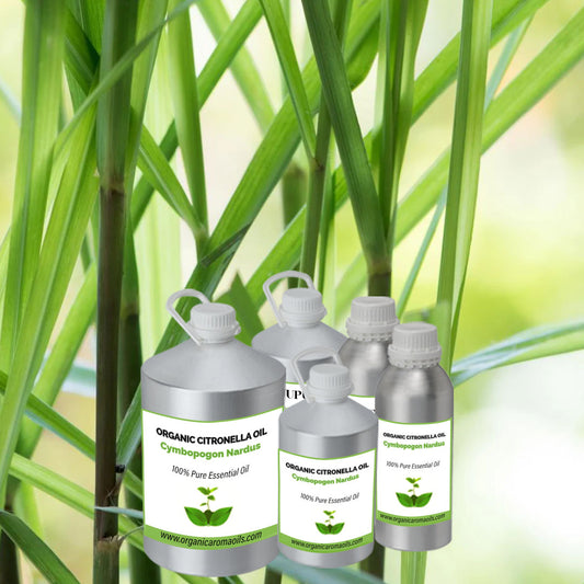 Organic Citronella Oil