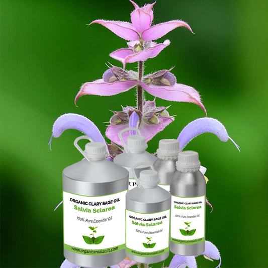 Organic Clary Sage Oil