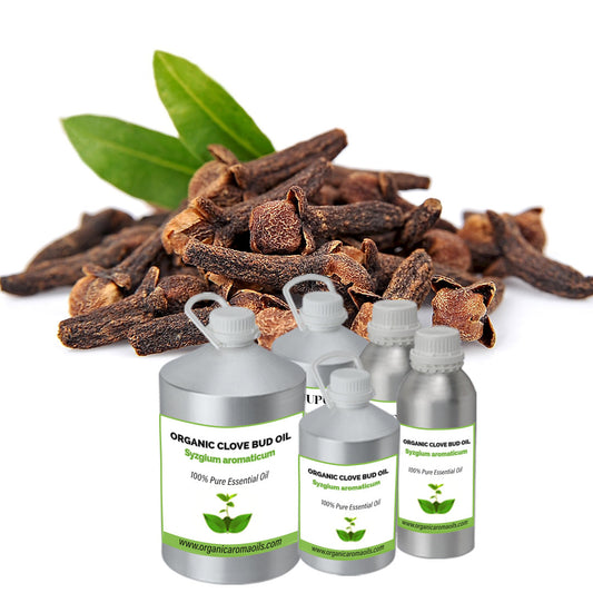 Organic Clove Bud Oil