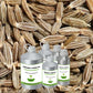 Organic Cumin Oil