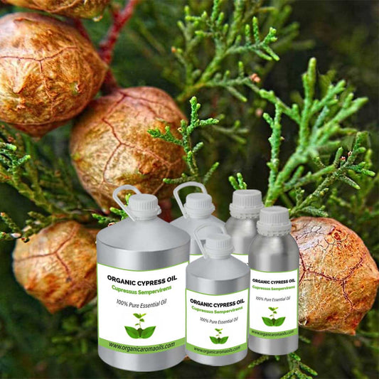 Organic Cypress Oil