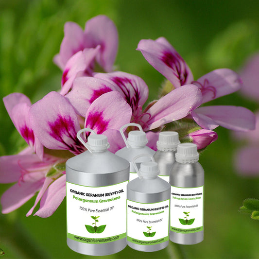 Organic Geranium Egypt Oil