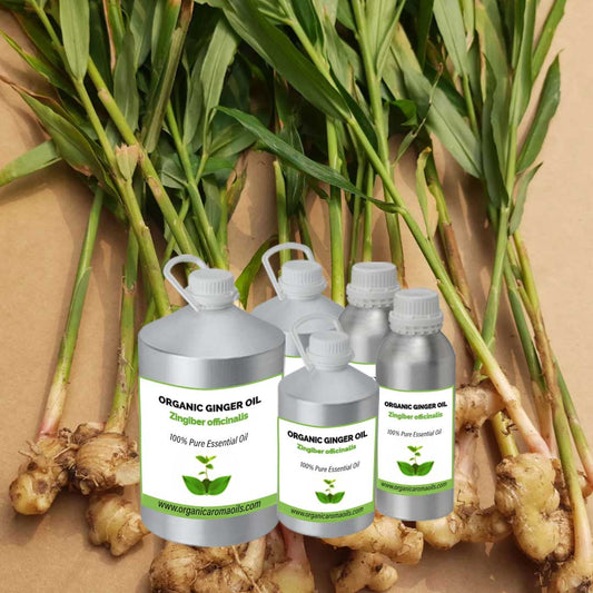 Organic Ginger Oil
