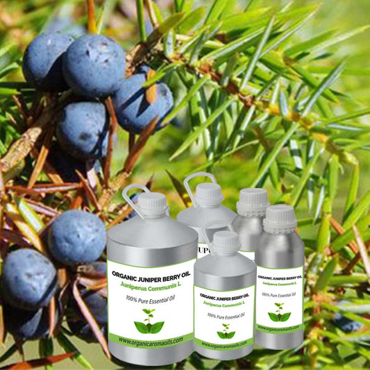 Organic Juniperberry Oil