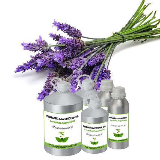 Organic Lavender Oil