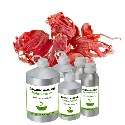 Organic Mace Oil