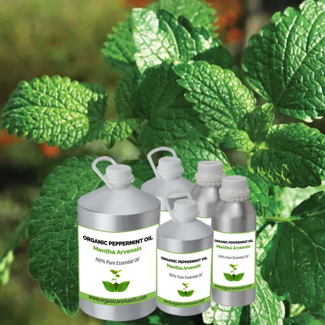 Organic Peppermint Oil
