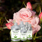 Organic Rose Oil