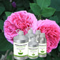 Organic Rose Otto Oil