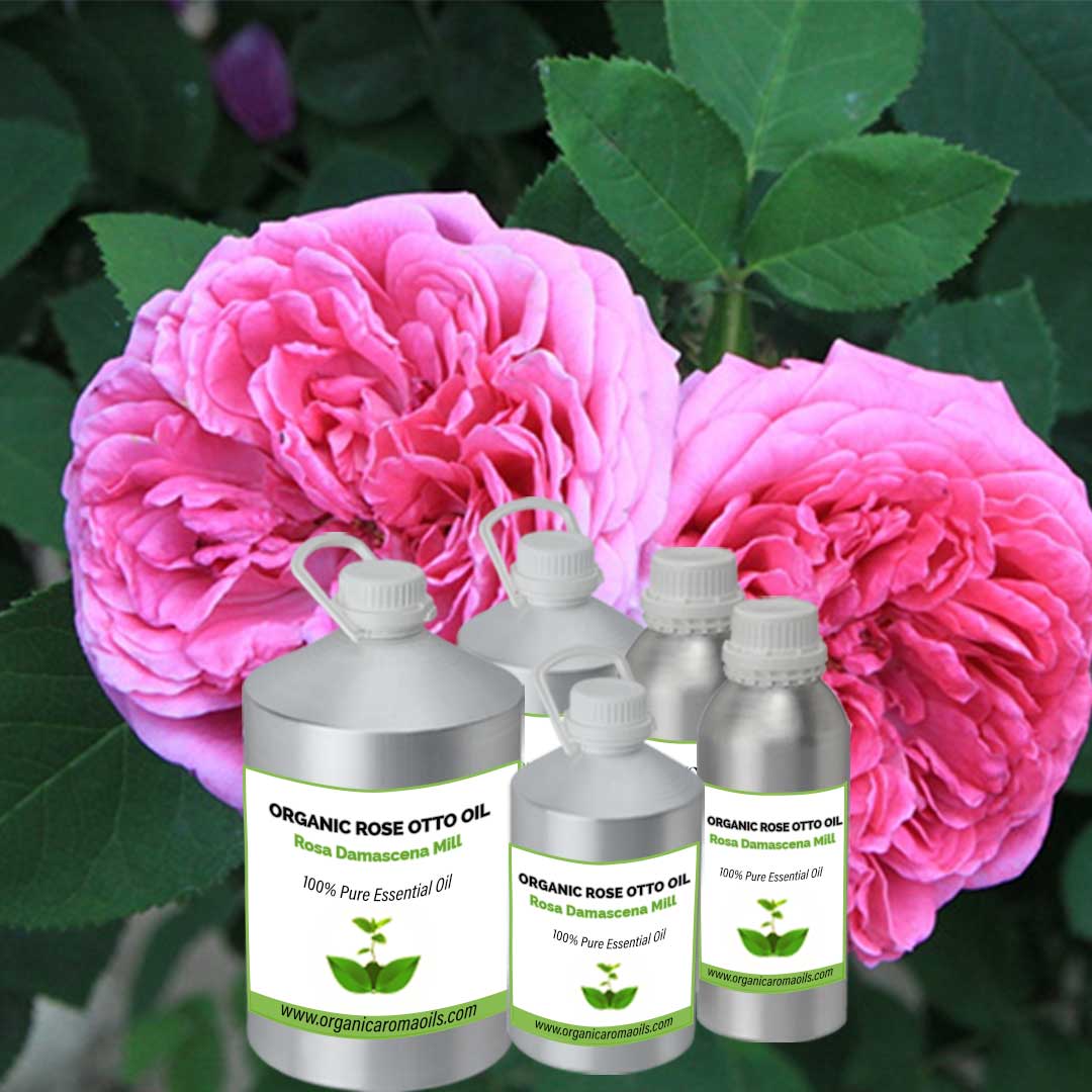 Organic Rose Otto Oil