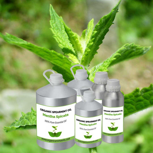 Organic Spearmint Oil
