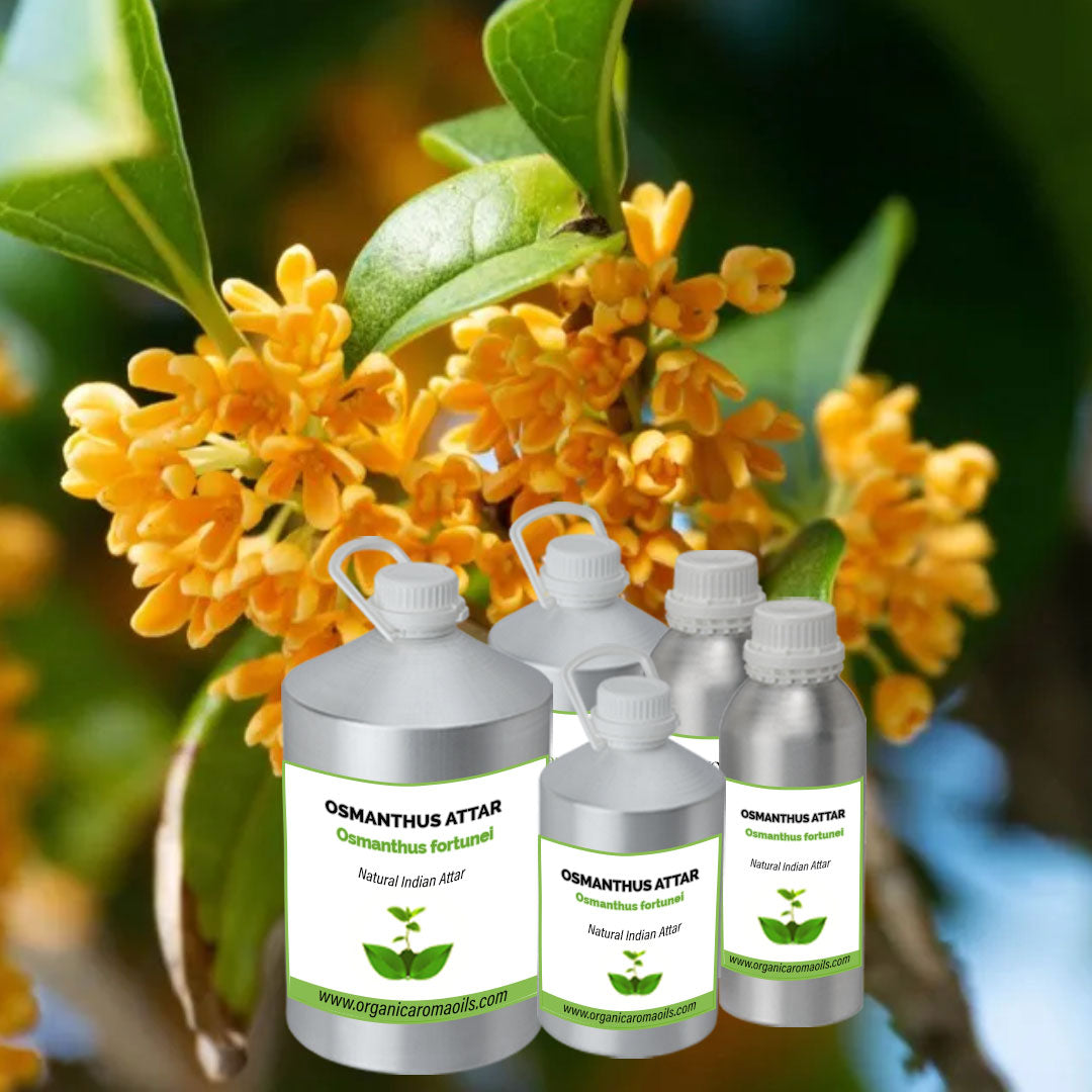Osmanthus Attar