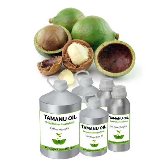 Tamanu Oil