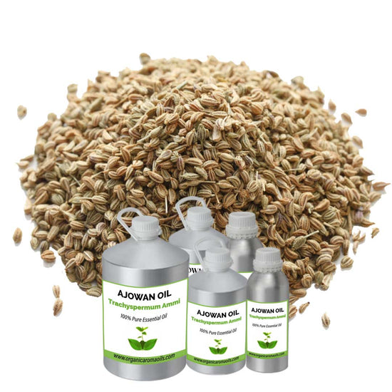 Ajowan Oil Buy Online, 100 Pure, Wholesale, Bulk Supplier