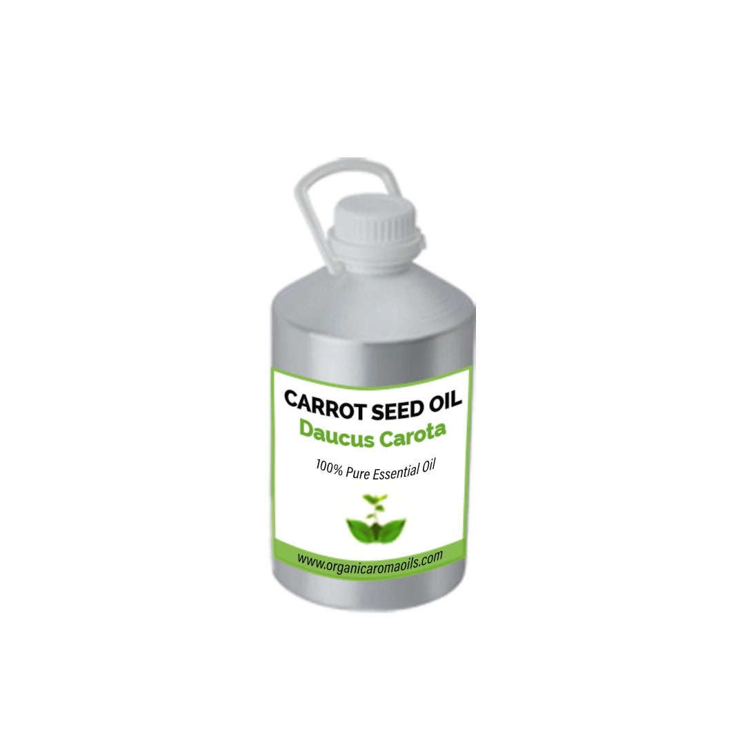 Carrot Seed Oil