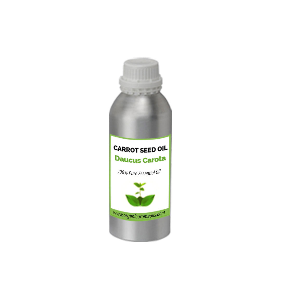 Carrot Seed Oil