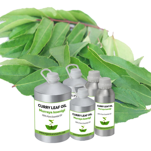 Curry Leaf Oil