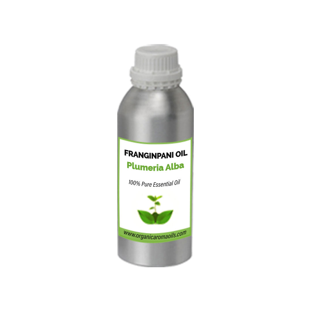 Frangipani Oil