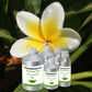 Frangipani Oil